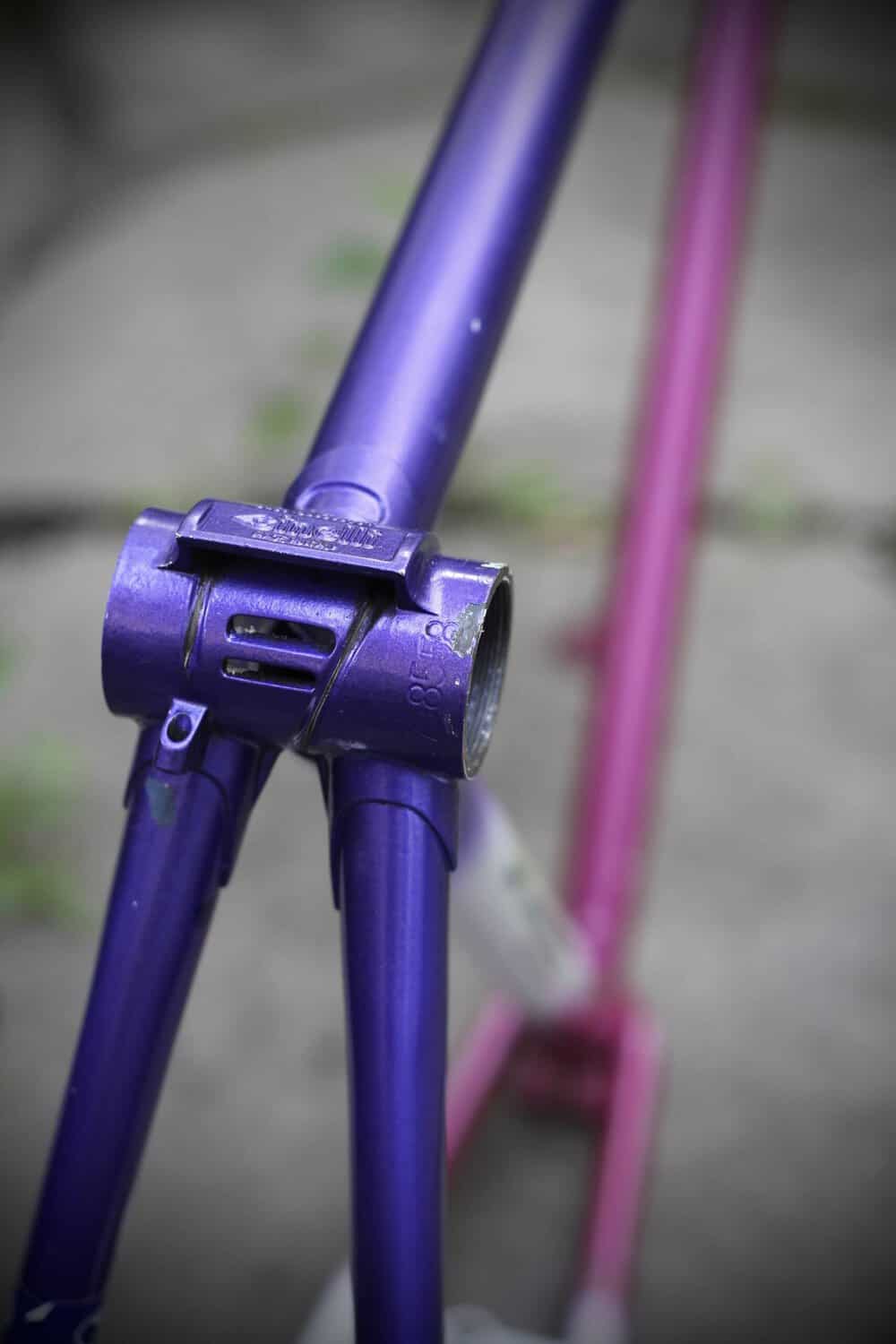 Gazelle Champion AA-Special Frame / 52.5 cm