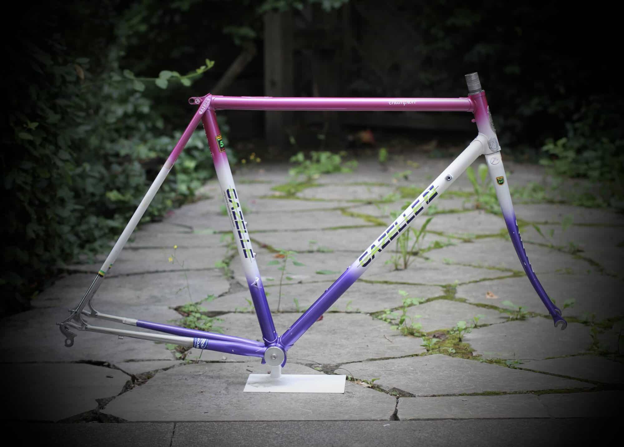 Gazelle Champion AA-Special Frame / 52.5 cm