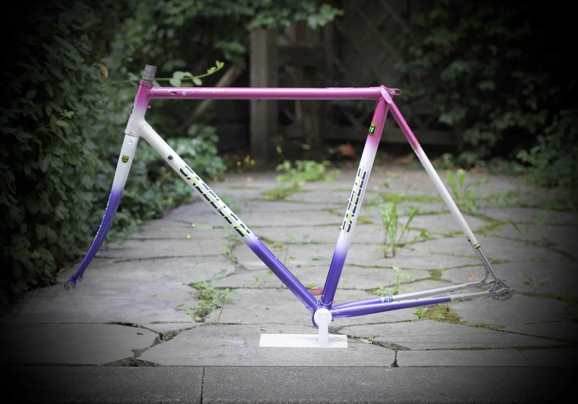 Gazelle Champion AA-Special Frame / 52.5 cm