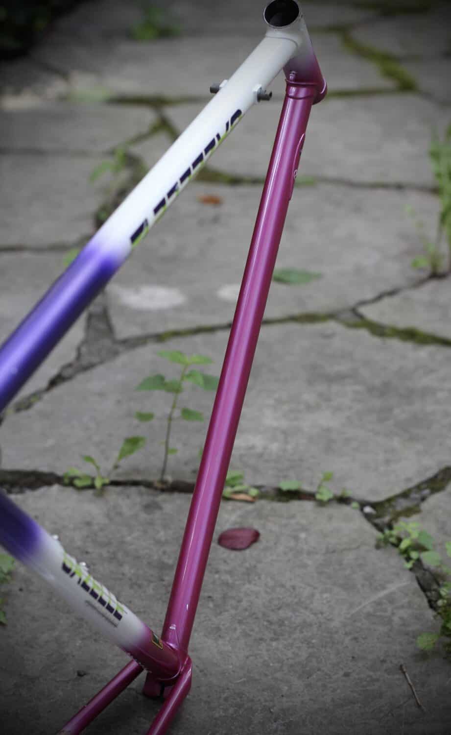 Gazelle Champion AA-Special Frame / 52.5 cm