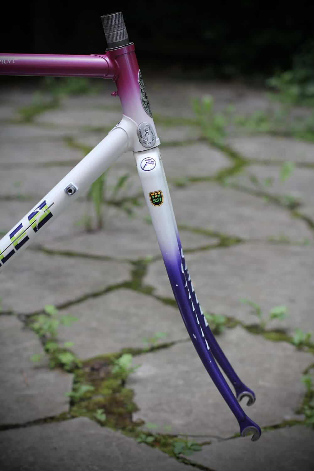 Gazelle Champion AA-Special Frame / 52.5 cm