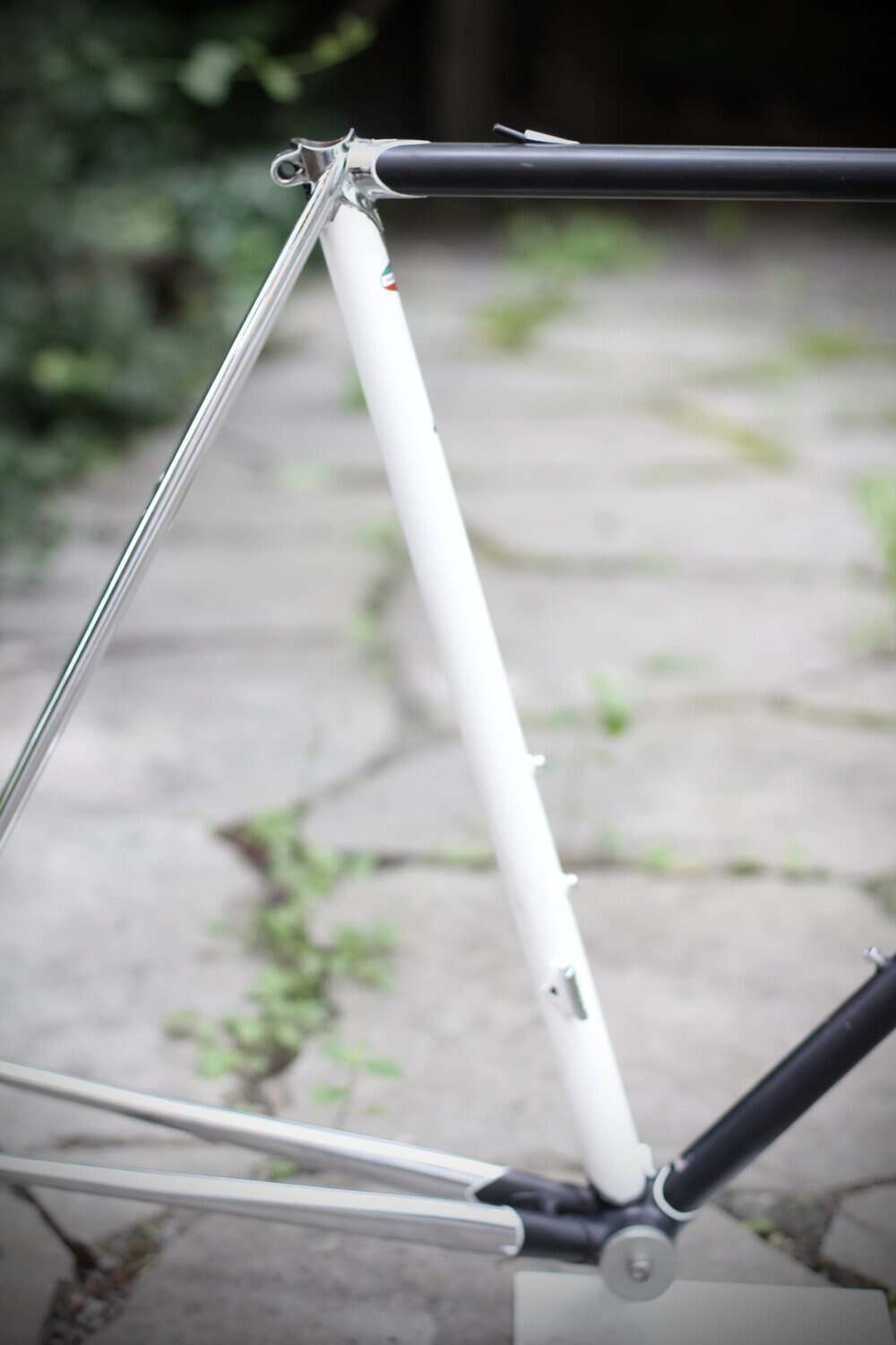 Bottecchia Carnielli Frame / 57 cm / Malvor