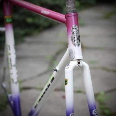 Gazelle Champion AA-Special Frame / 52.5 cm