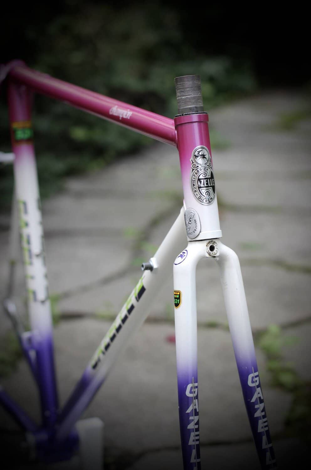 Gazelle Champion AA-Special Frame / 52.5 cm