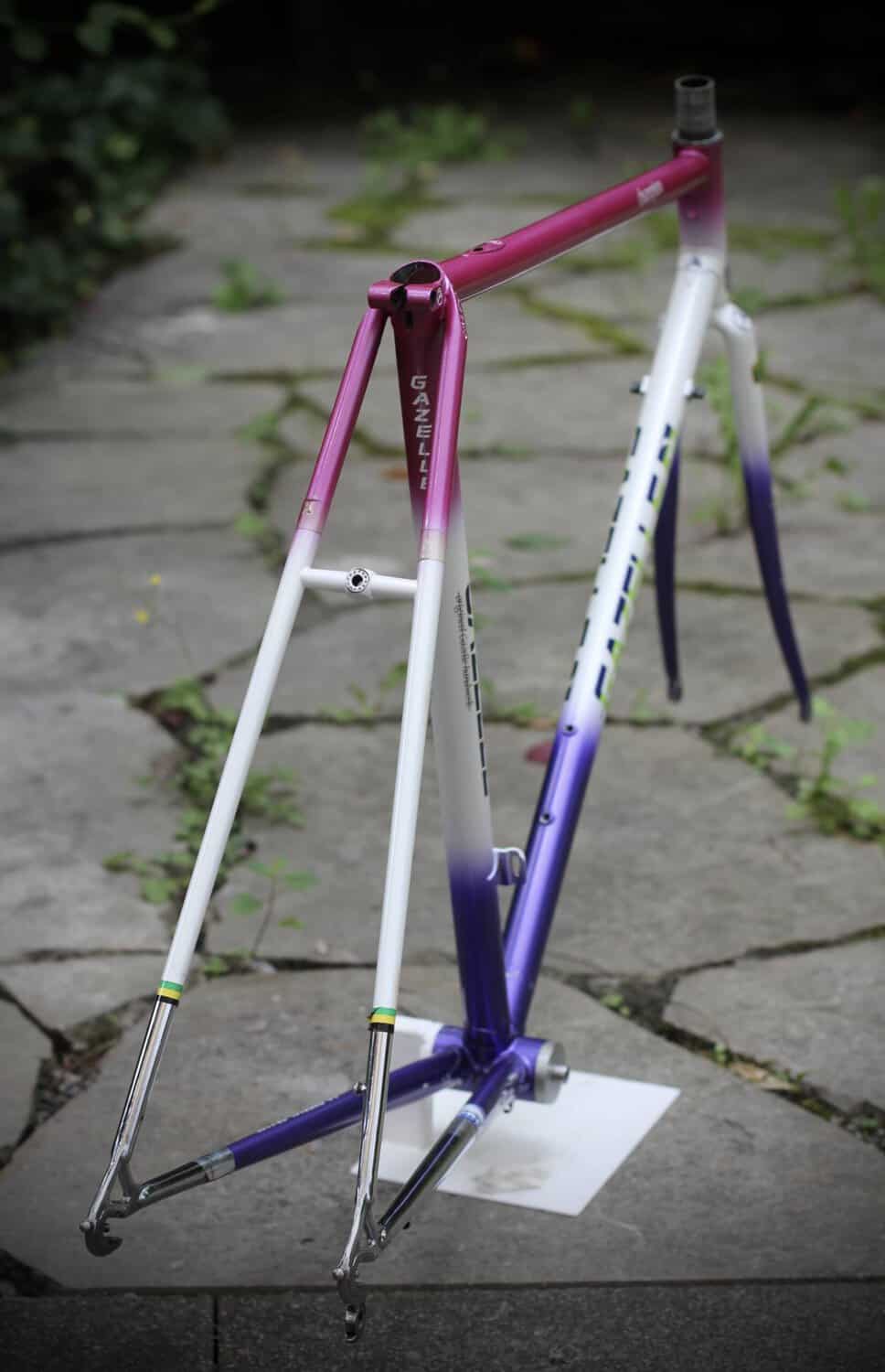 Gazelle Champion AA-Special Frame / 52.5 cm