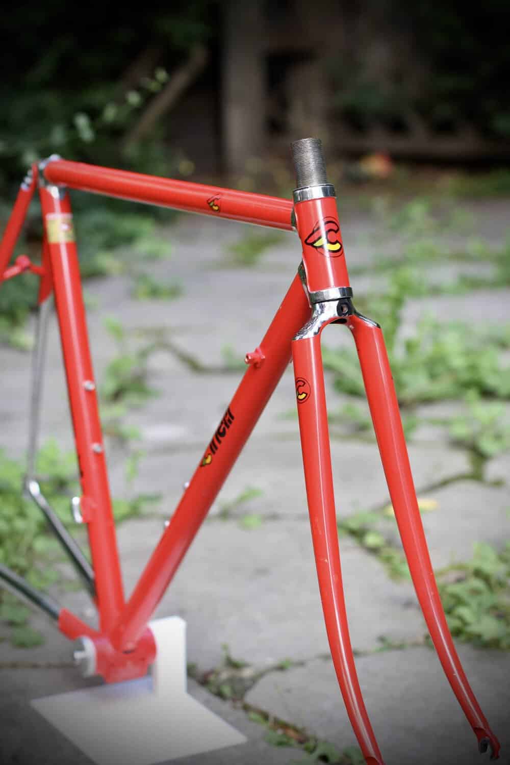 Cinelli Supercorsa Frame / 49.5 cm
