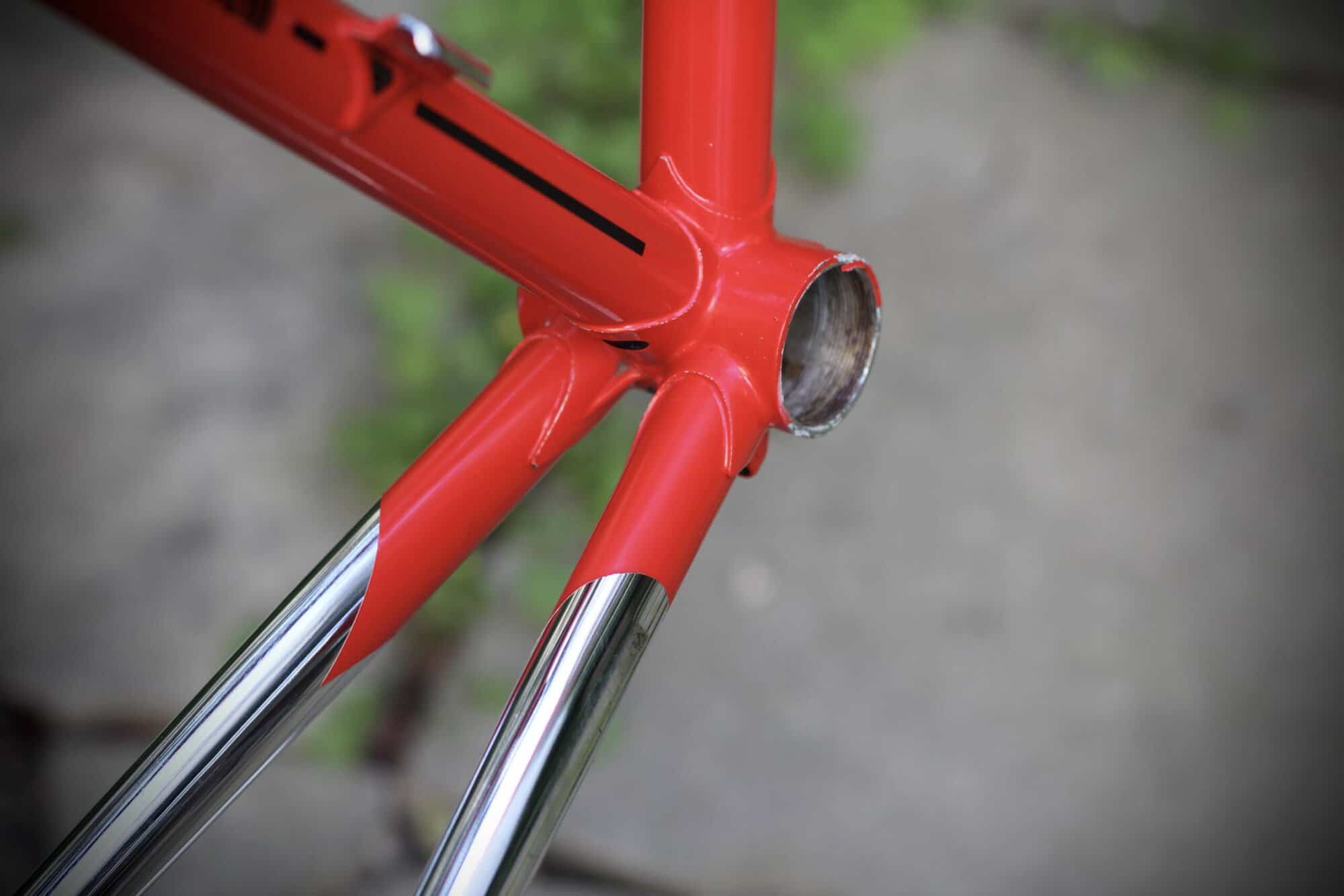 Cinelli Supercorsa Frame / 49.5 cm
