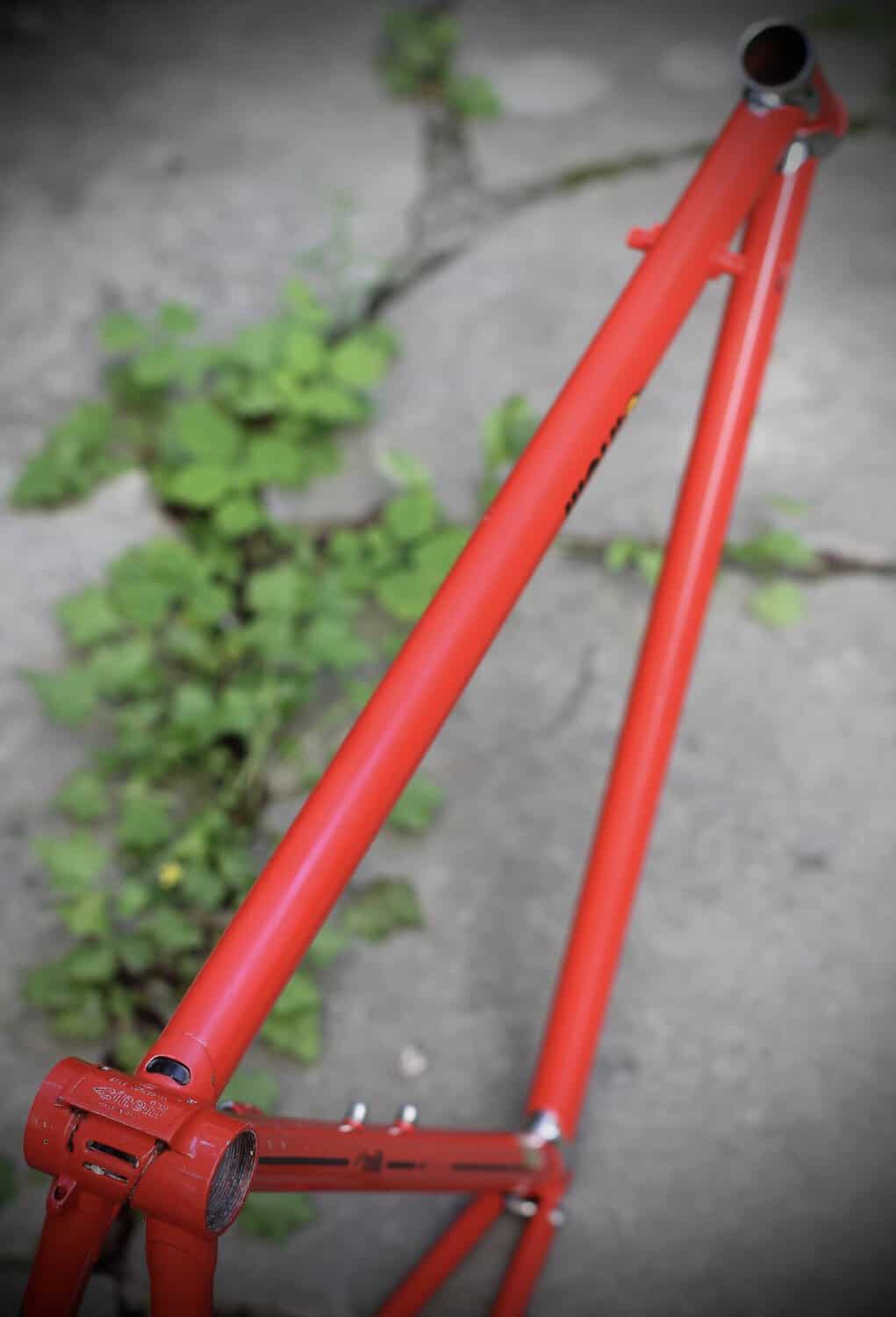 Cinelli Supercorsa Frame / 49.5 cm