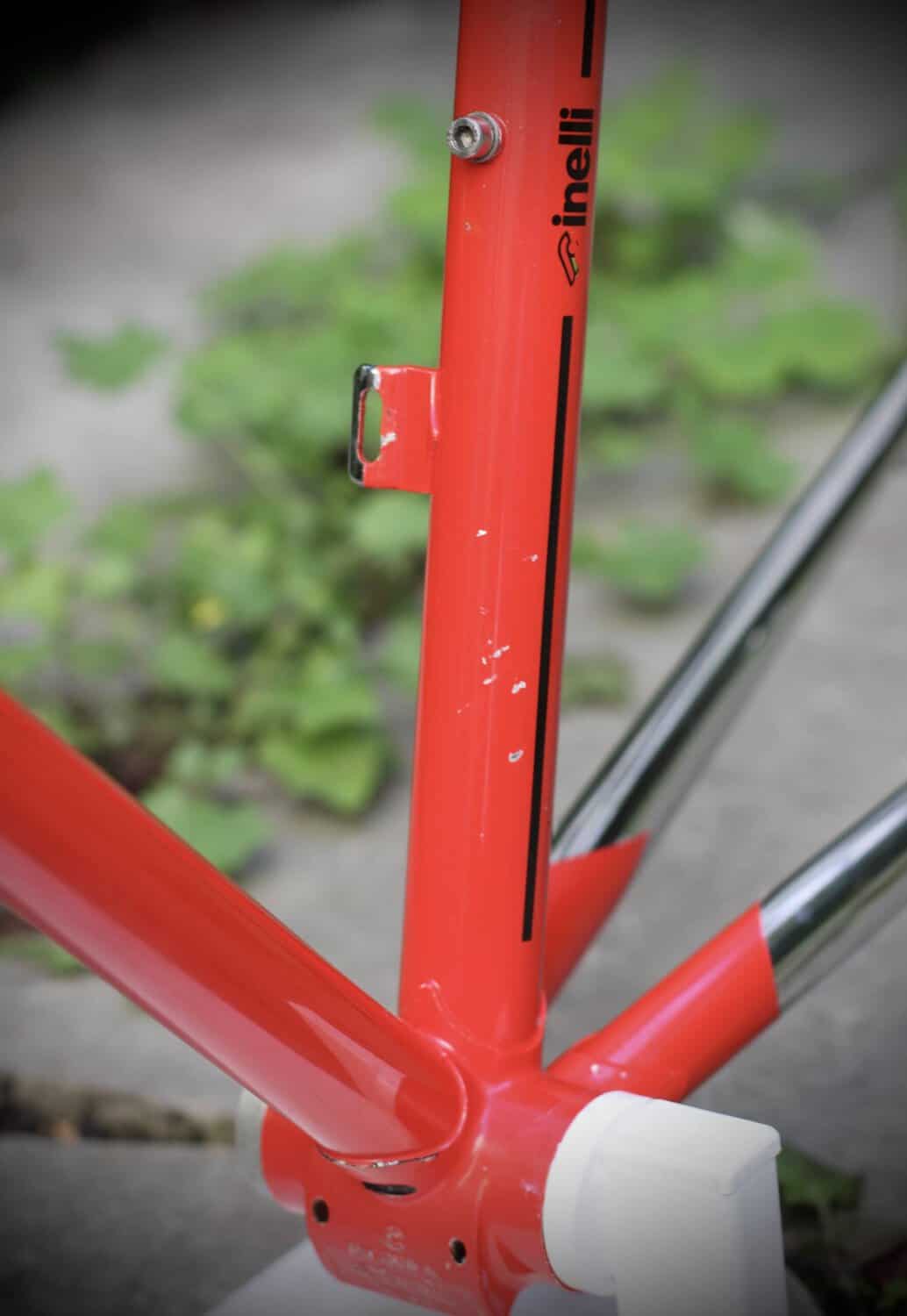 Cinelli Supercorsa Frame / 49.5 cm