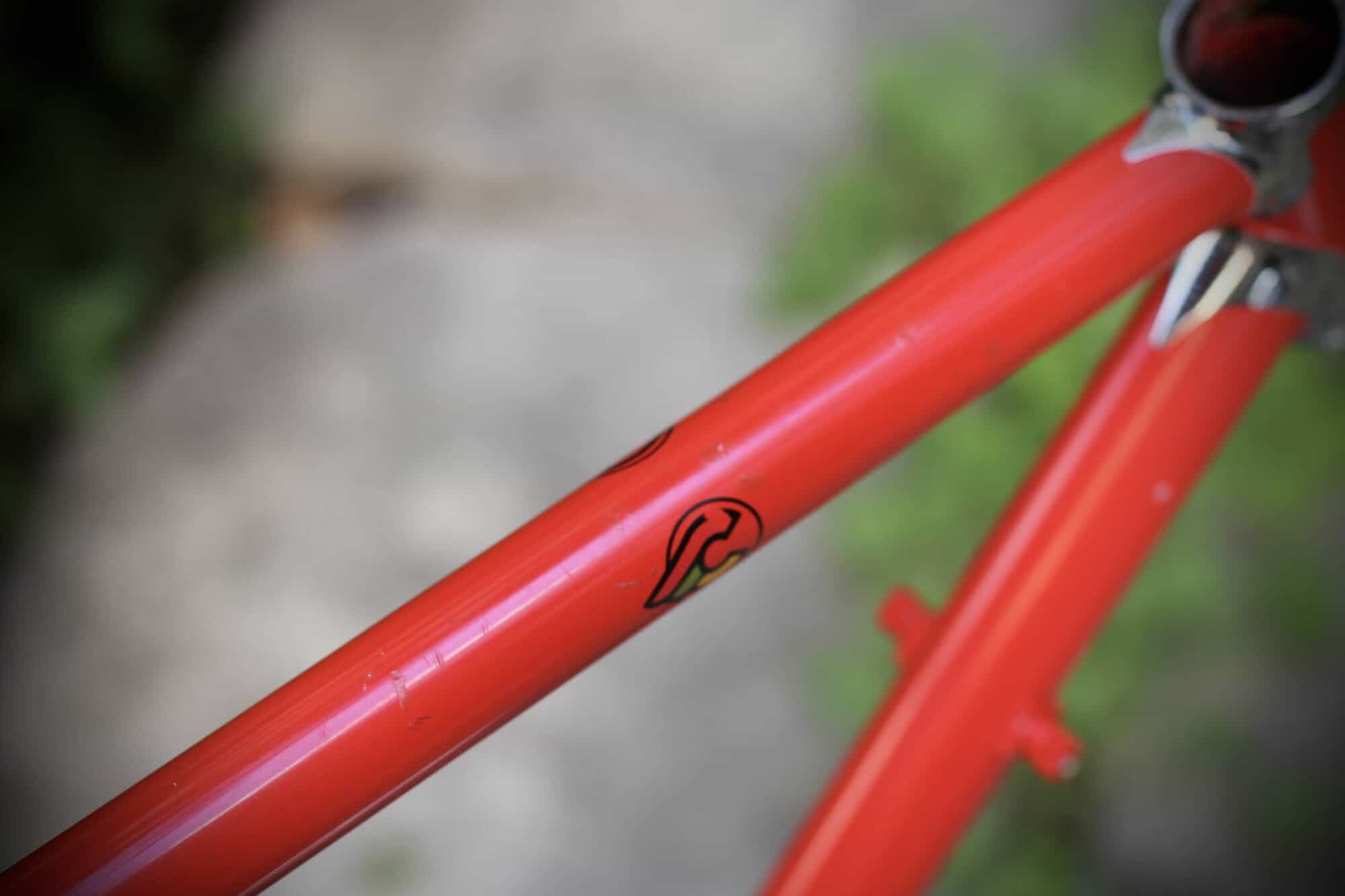 Cinelli Supercorsa Frame / 49.5 cm