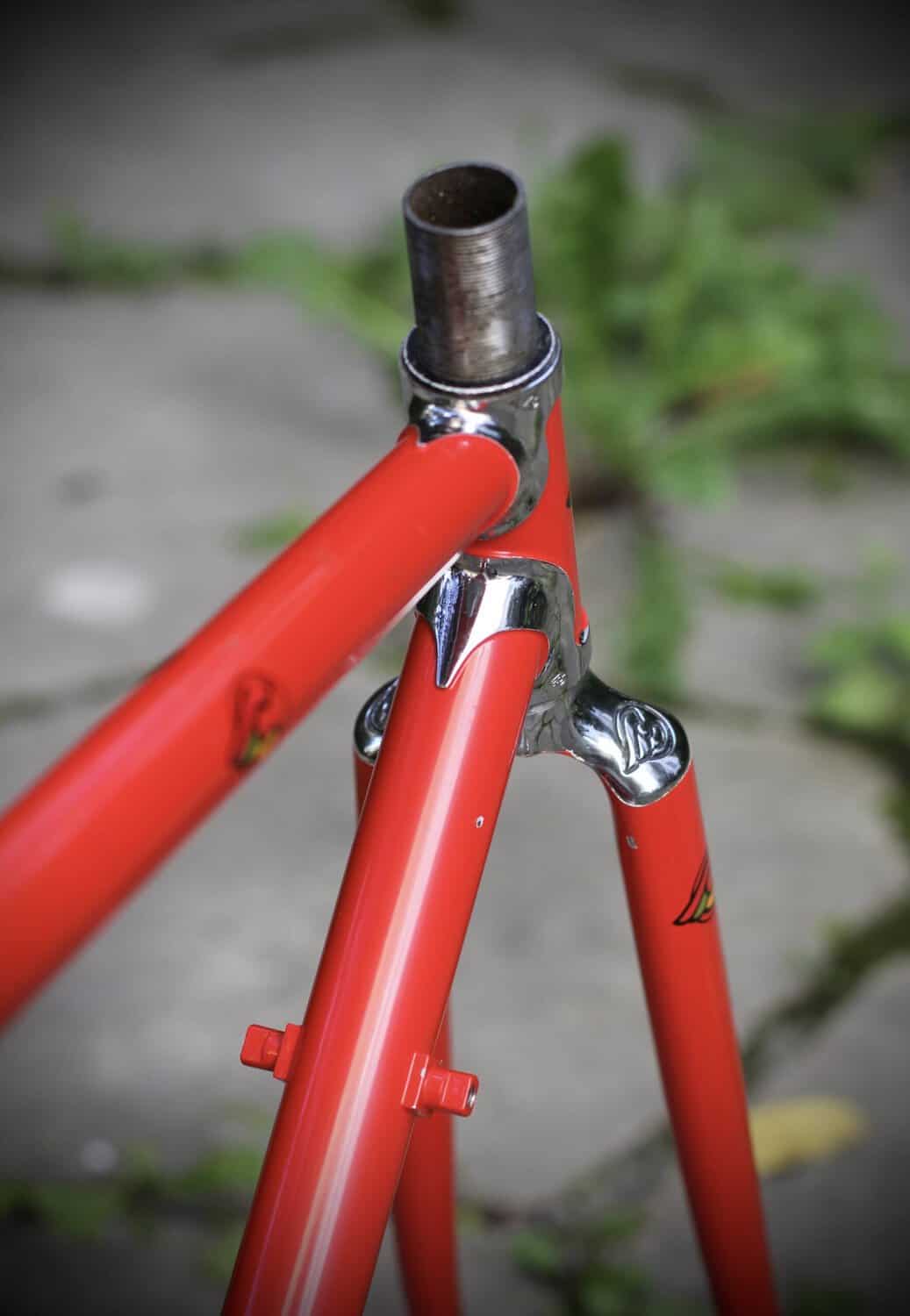 Cinelli Supercorsa Frame / 49.5 cm
