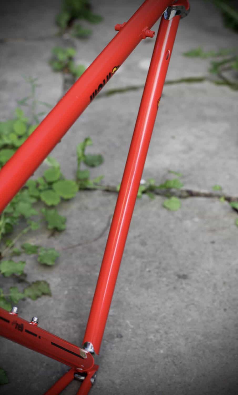 Cinelli Supercorsa Frame / 49.5 cm