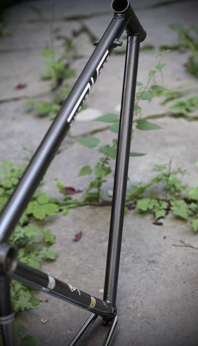 Eddy Merckx Professional Frame / 54 cm
