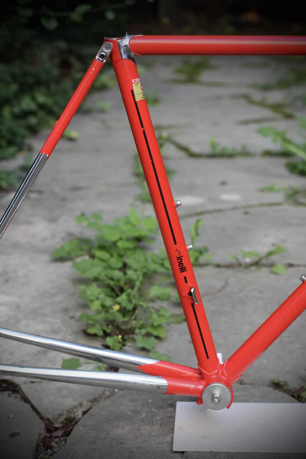 Cinelli Supercorsa Frame / 49.5 cm