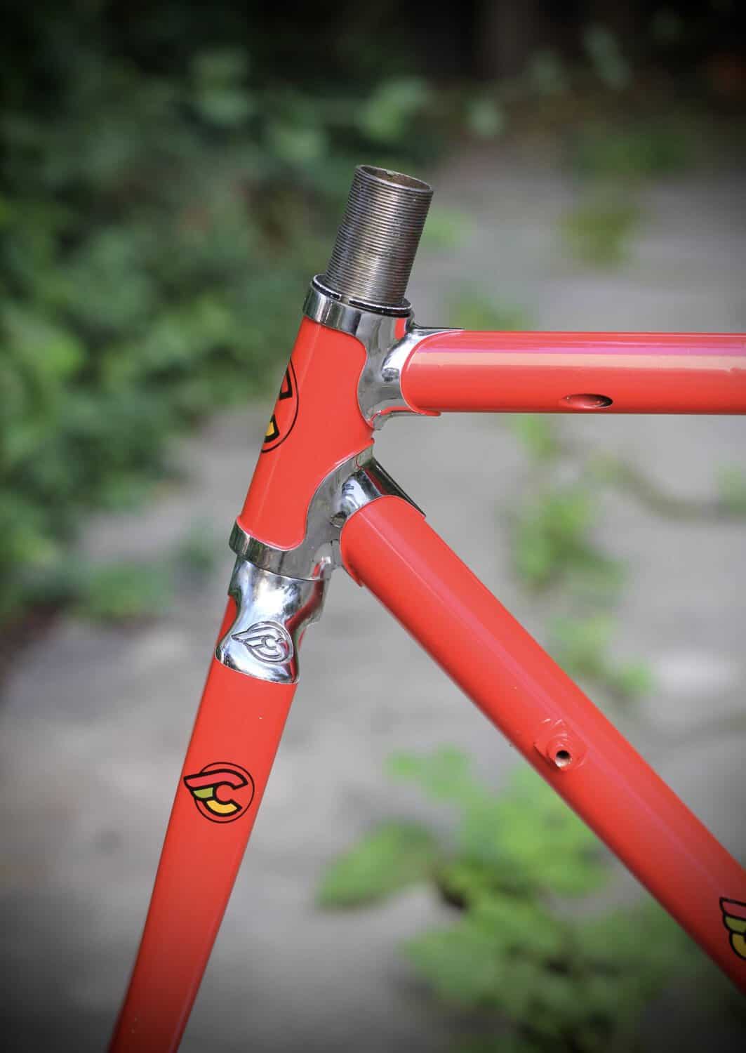 Cinelli Supercorsa Frame / 49.5 cm