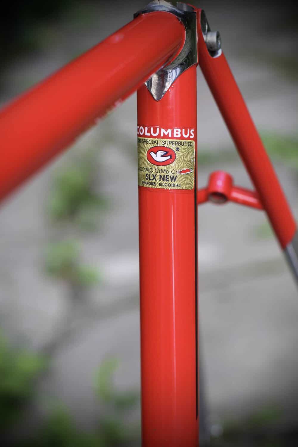Cinelli Supercorsa Frame / 49.5 cm