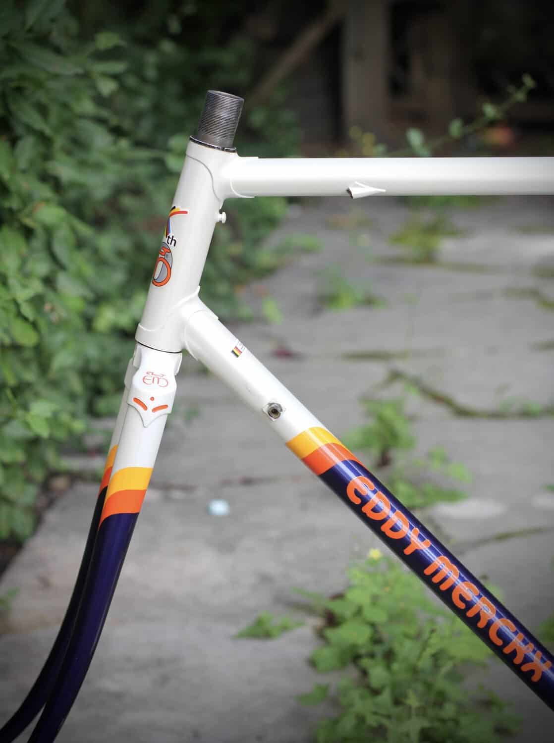 Eddy Merckx 10th Anniversary Frame / 56 cm