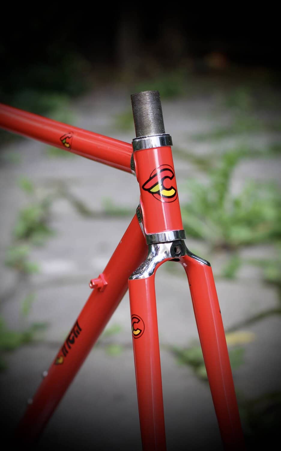 Cinelli Supercorsa Frame / 49.5 cm