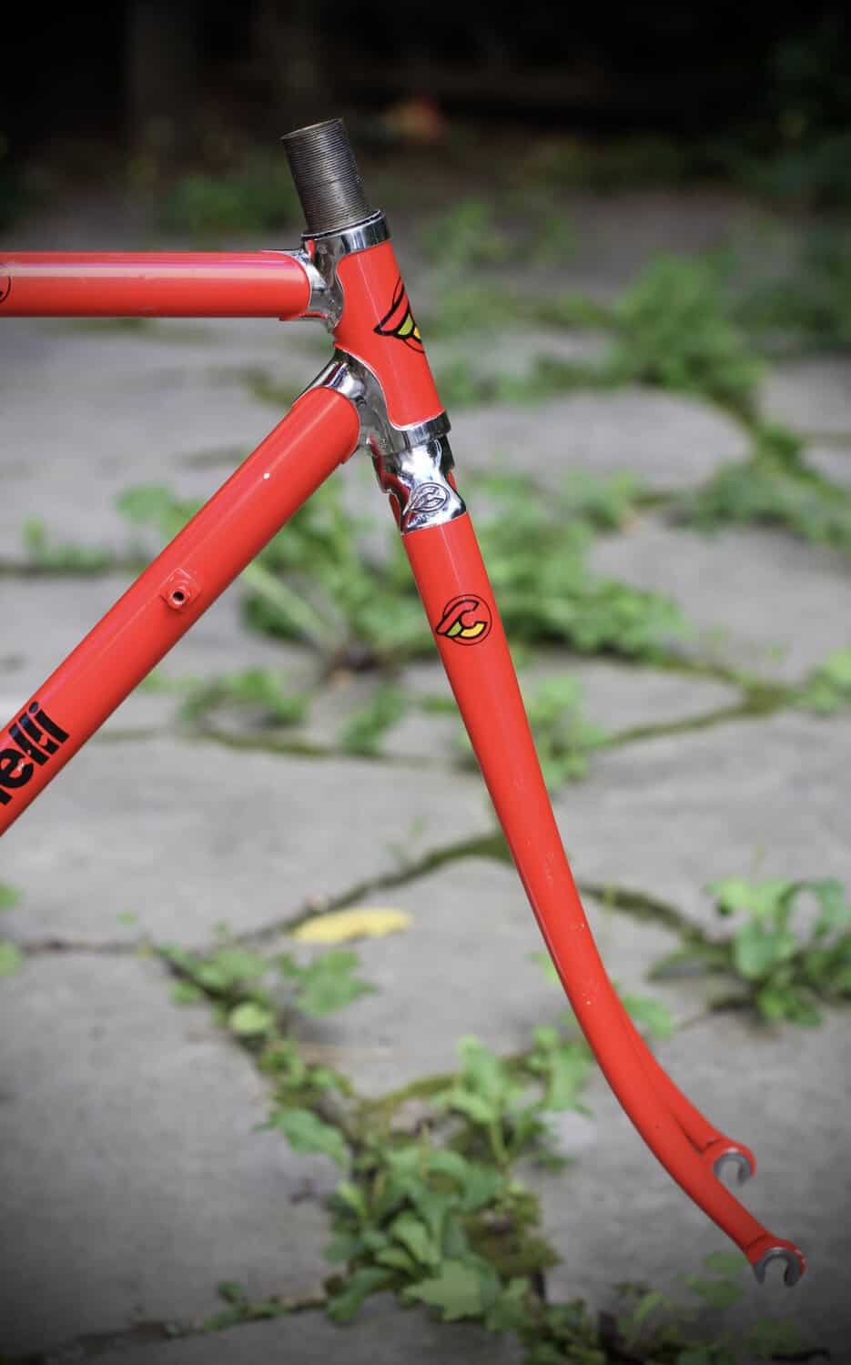 Cinelli Supercorsa Frame / 49.5 cm