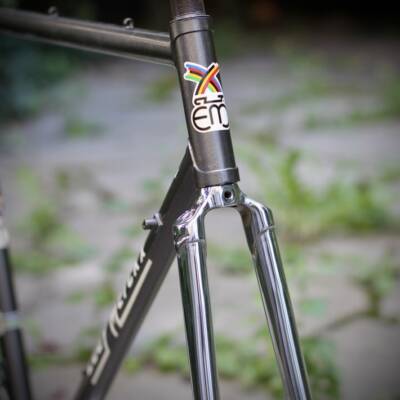 Eddy Merckx Professional Frame / 54 cm