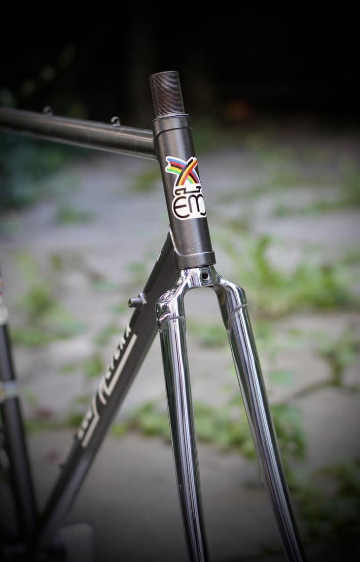 Eddy Merckx Professional Frame / 54 cm