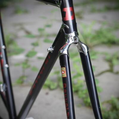 Daccordi Classico No. 95030 / 50.5 cm