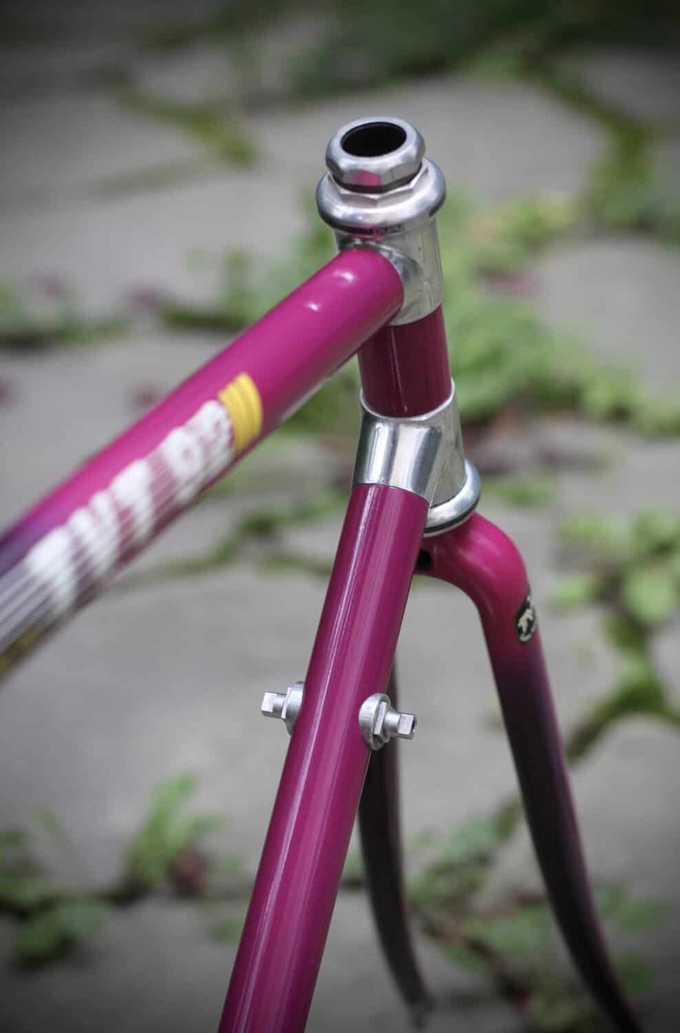 TVT 92 Carbone HM Frame / 53 cm - Image 5