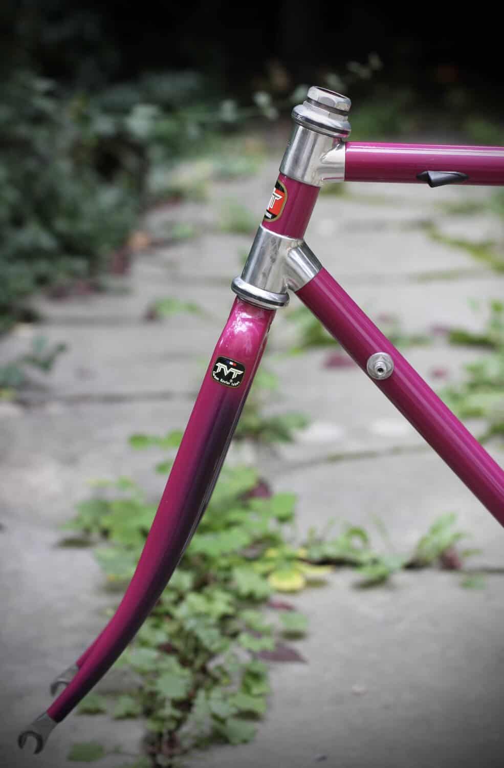 TVT 92 Carbone HM Frame / 53 cm - Image 10